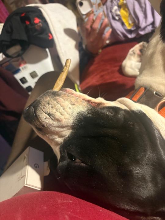 Steven Noblematthews