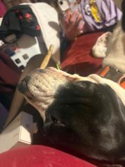 Steven Noblematthews