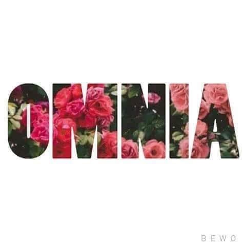 Omnia Hussein