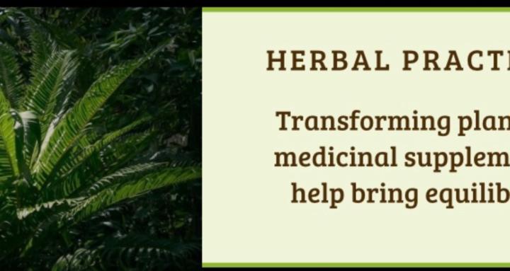 Healing Tree Academy