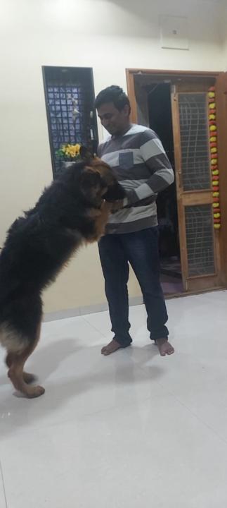 Prajwal Ingole