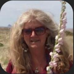 Carole Palmer