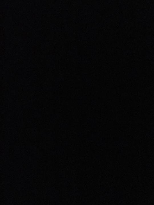 Andrea Sanchez Torres