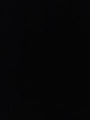 Andrea Sanchez Torres