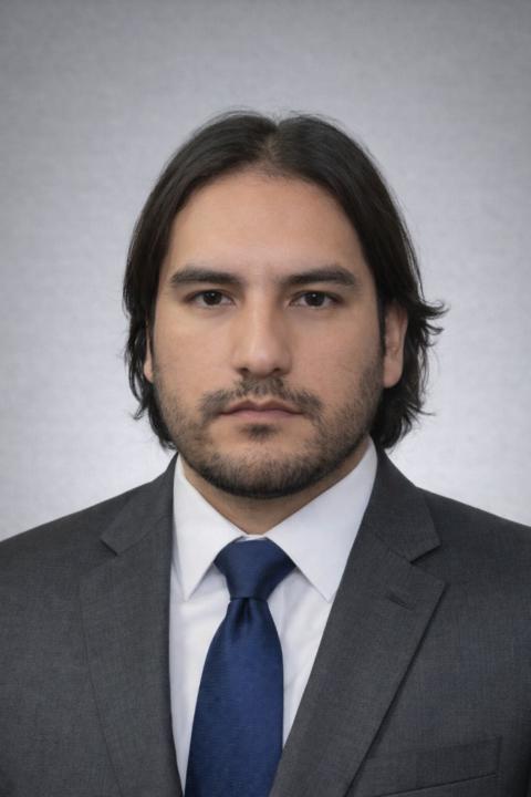 Henry Diego Lizarro puma