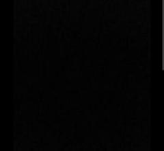 Baladitya Penigalapati