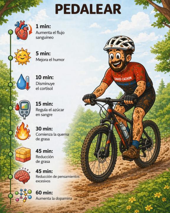 Pedalear 