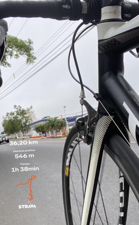 Con clima frío 🥶 La cangreja subiendo 