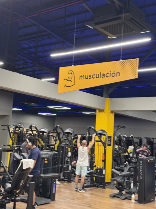 GYM