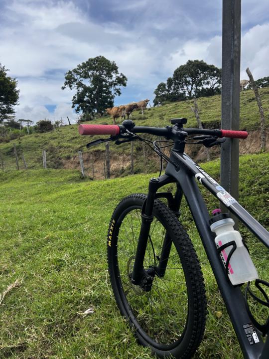 Lunes de ride