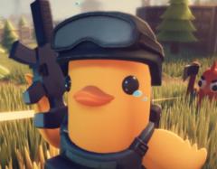 Francisco José Macías Garay