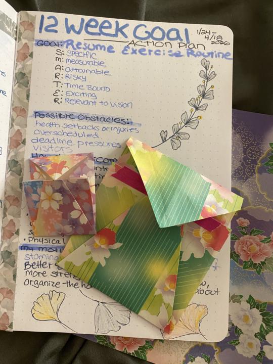12 Week Plan & Little Envelopes!