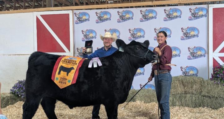 Novice Livestock Show Hub