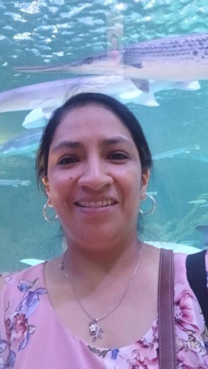 Luz Maria Chalan Lozano