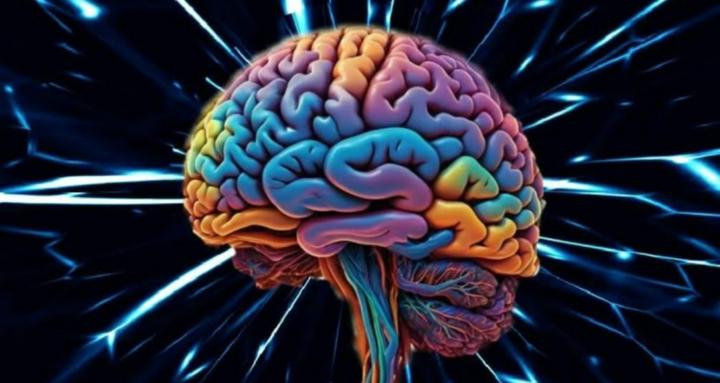 Magnet mind community