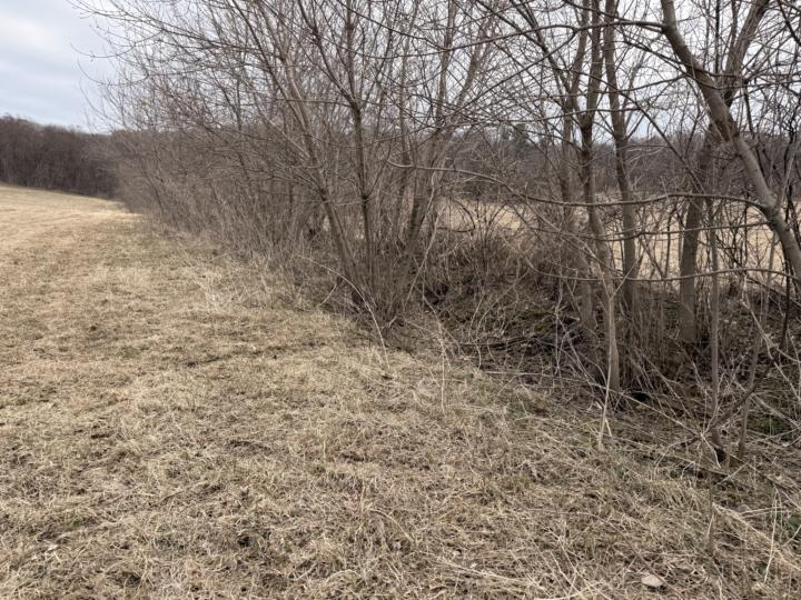 Price for fence line like this?