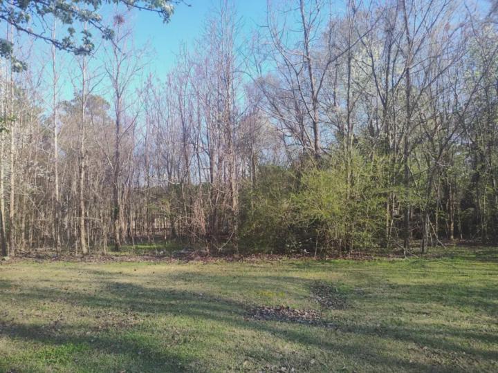 First Job, any tips?