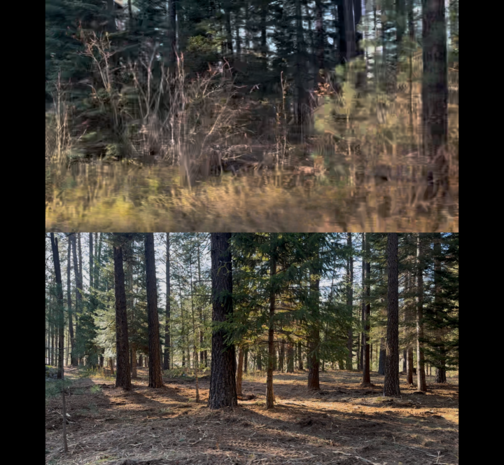 First Before and After Picture