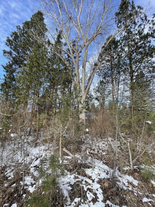 First job in the books!