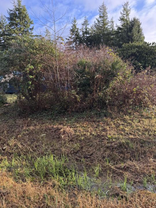 Use this Before/After Photo Template for every job...