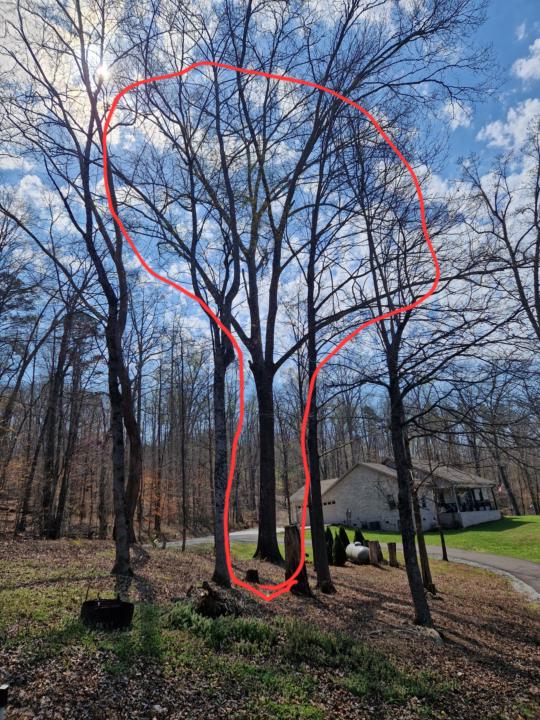 Door Knocking Win 🏆 🚪 + Need Help Estimating