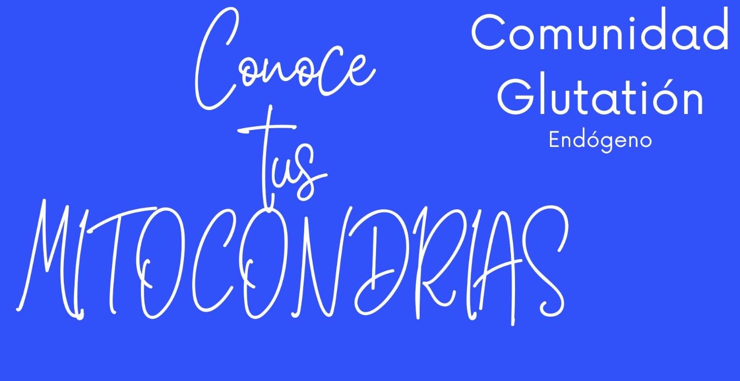 🧬 MITOCONDRIAS: Generador de energía celular