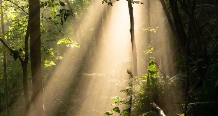 The Choice To Be Happy