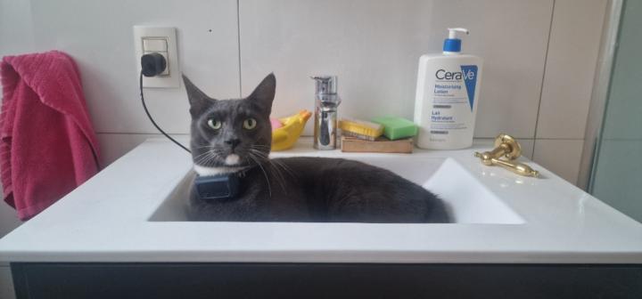 Unnur Bergsveinsdóttir