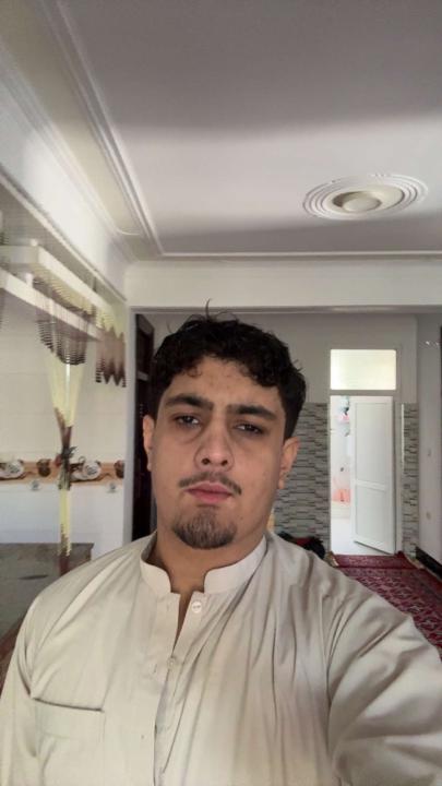 Amir Hussain