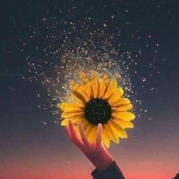 Đỗ Thị Thanh Hương