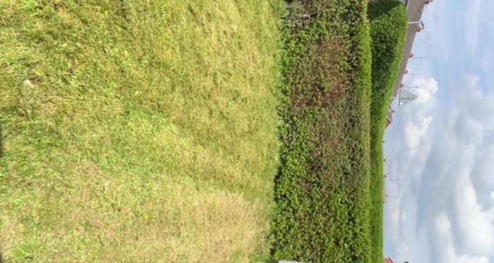 Lawn mowers