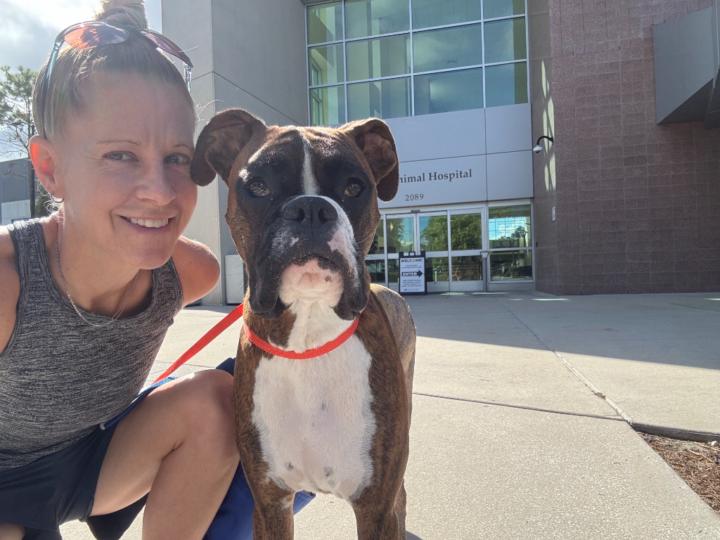 Christine Vandeveire