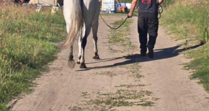 Off grid farming/ living