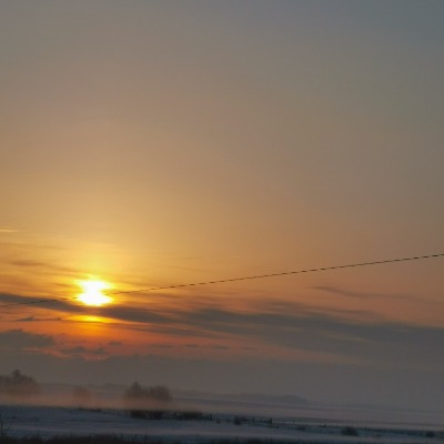 Angelina Buffalo-Yellowbird