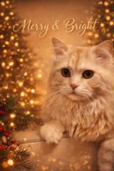 Ася Захариева