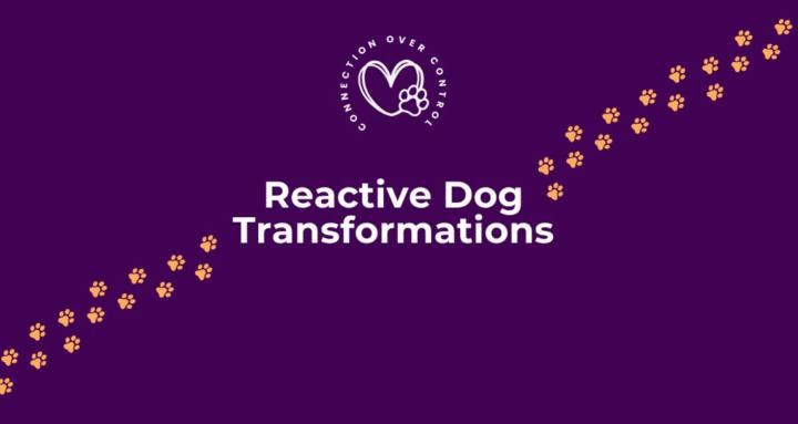 Reactive Dog Transformations
