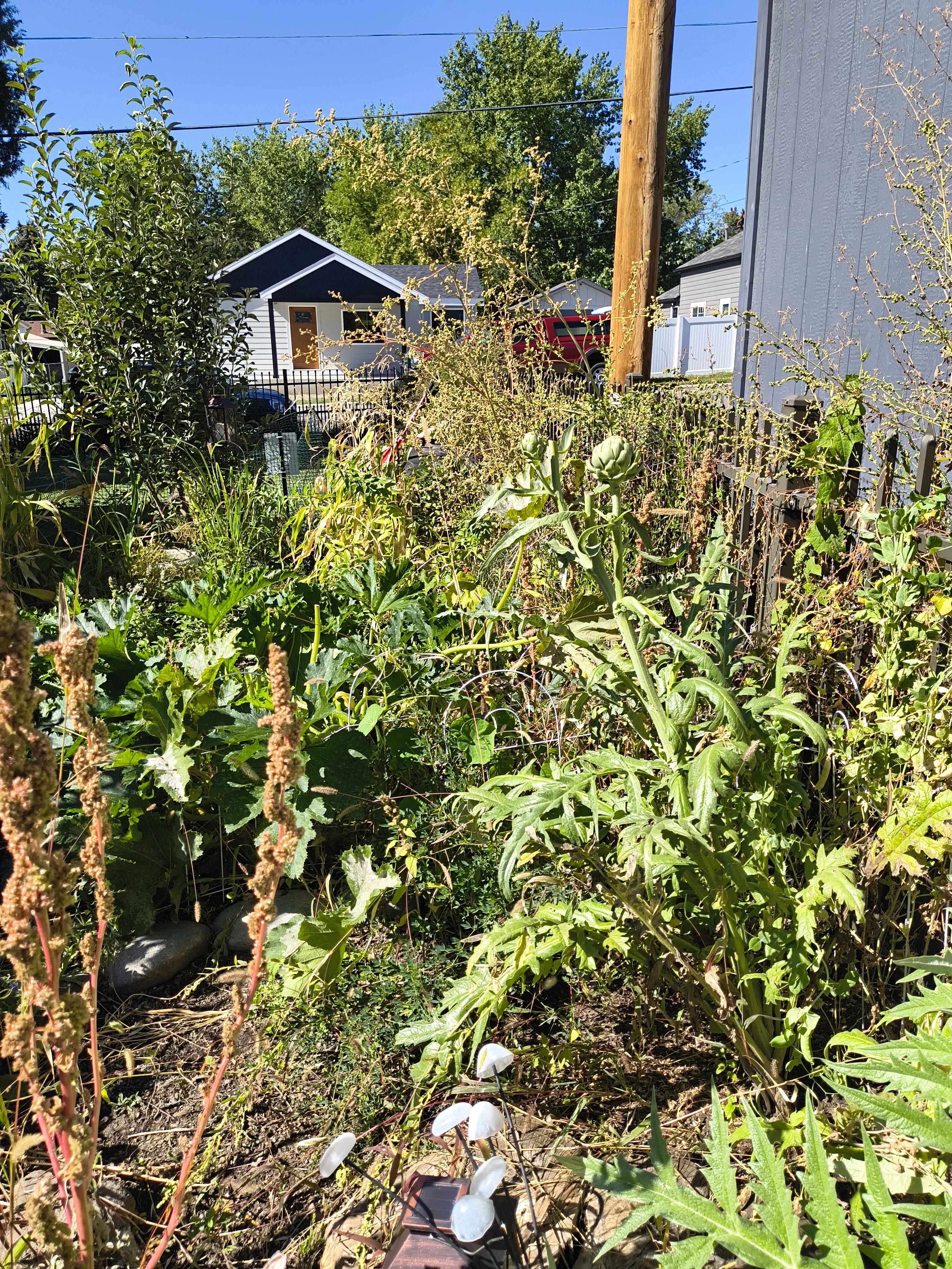 Hello From Montana · Perma Resilience