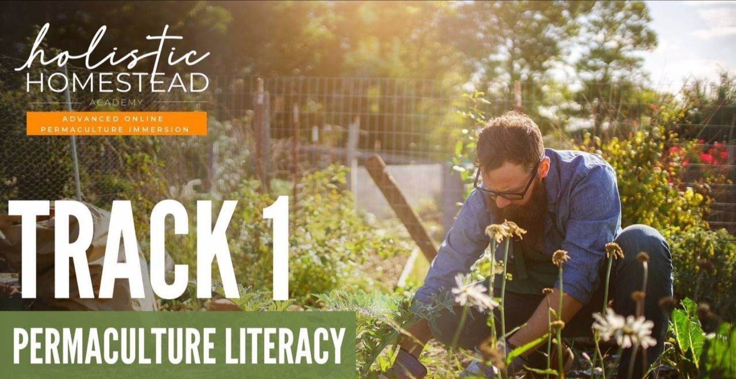 Holistic Homestead Academy