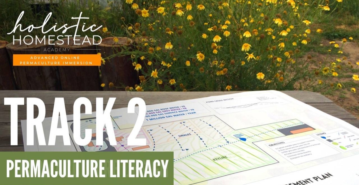 Holistic Homestead Academy Part 2