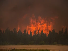 Out of control forest fire! 