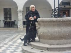 Vlasta Radoičić