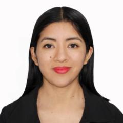 Vilma Vanesa Chipana