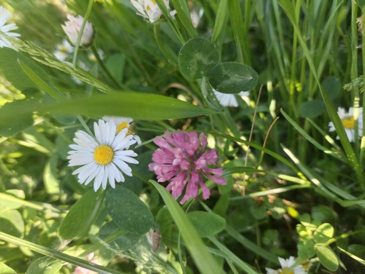 Bernadett Bódiné Petri