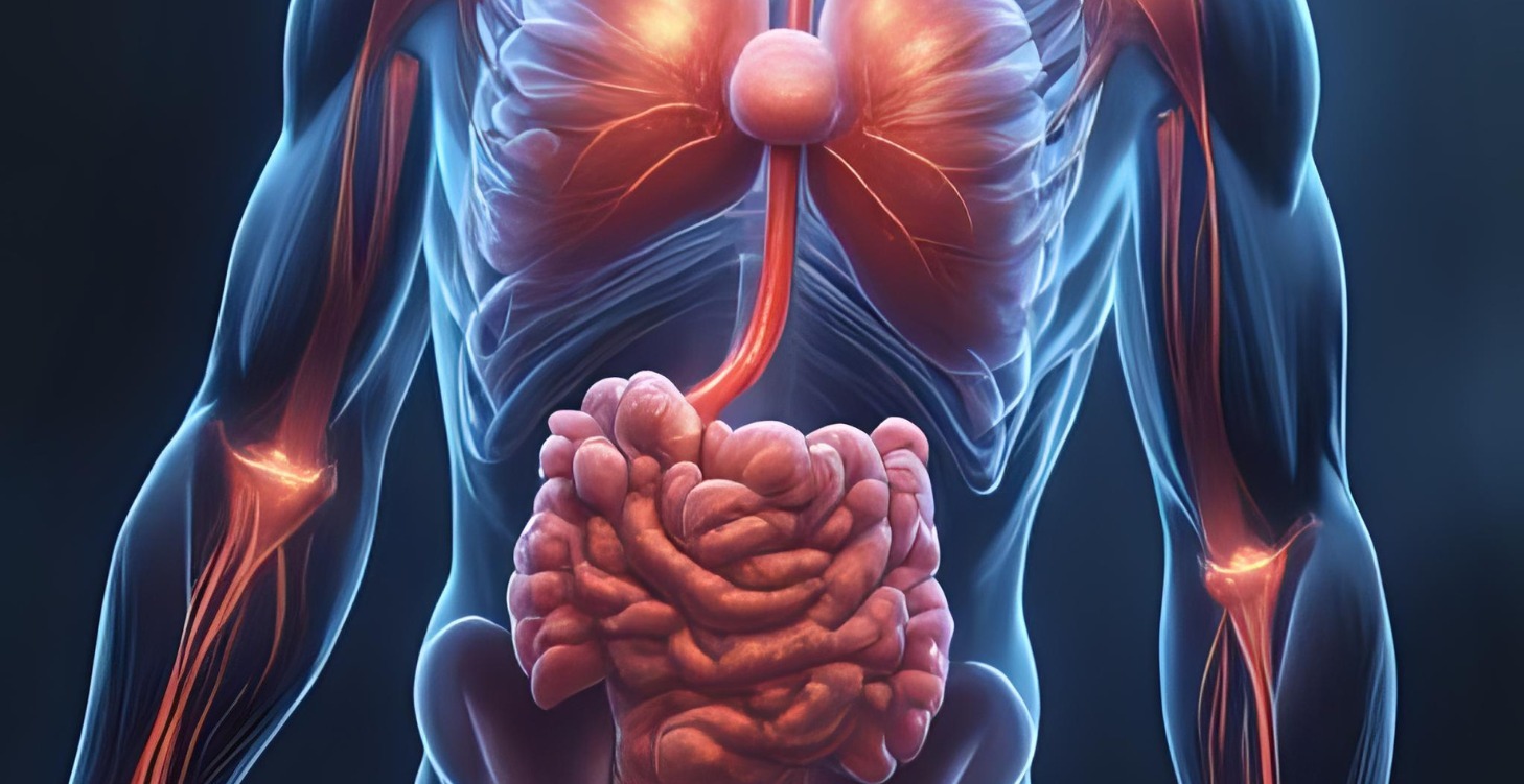 The Lymphatic & Immune System