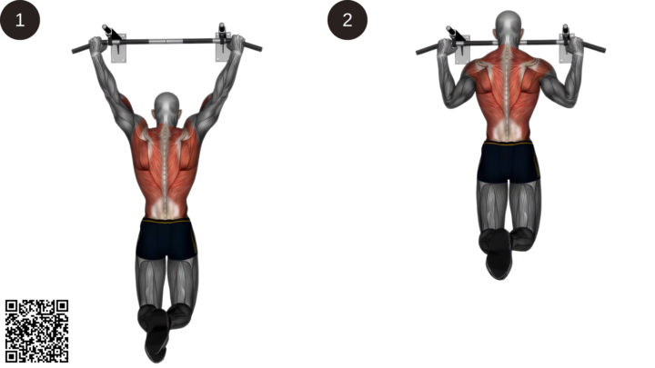 The Bodyweight Back Builder Stack