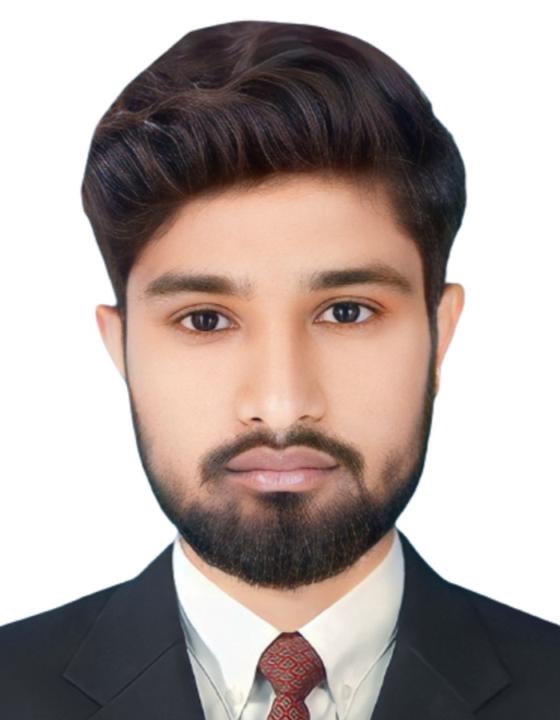 Ameer Hamza