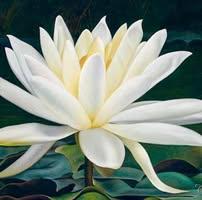 Зоригтбаатар Саранцэцэг