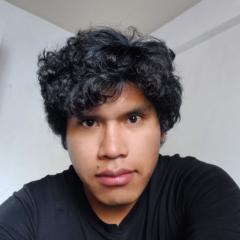 Fernando Christian Laura Layme