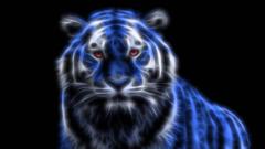 Blue Tiger