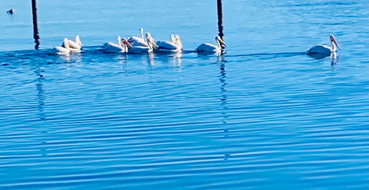 How to identify emotions